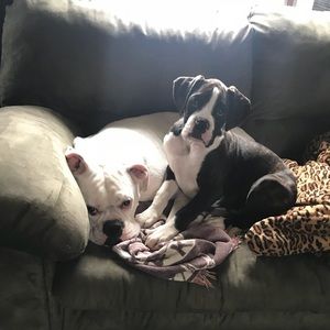 Meet your Posher, Kayla